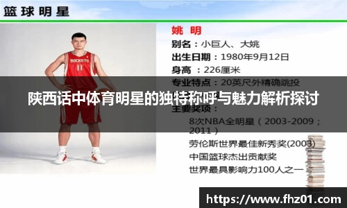 陕西话中体育明星的独特称呼与魅力解析探讨