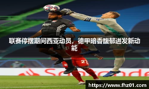 联赛停摆期间西亚动员，德甲暗香馥郁迸发新动能