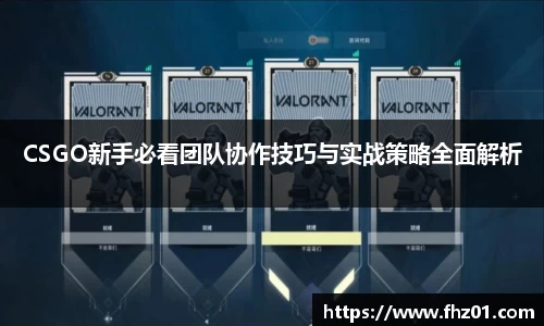 CSGO新手必看团队协作技巧与实战策略全面解析