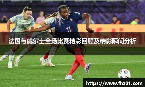 法国与威尔士全场比赛精彩回顾及精彩瞬间分析